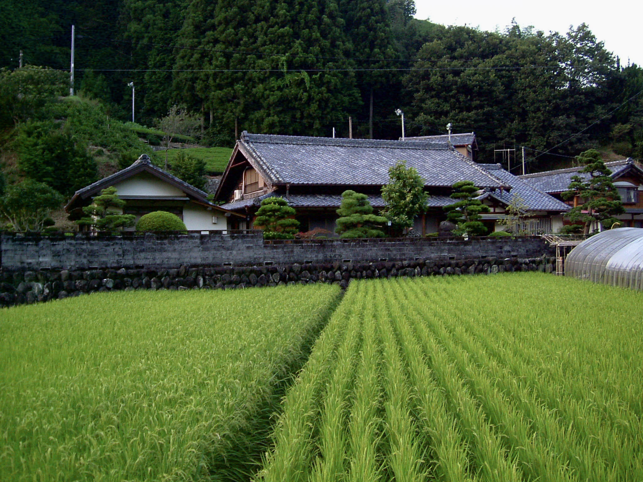 Morishita's%20House